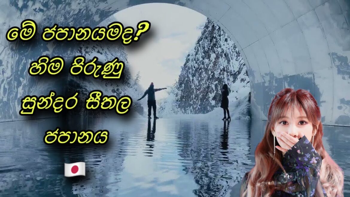 මේත් ජපානයමද? හිම පිරුණු සුන්දර සීතල ජපානය.Japan winter .nagano nigata japan guide .snow winter trip