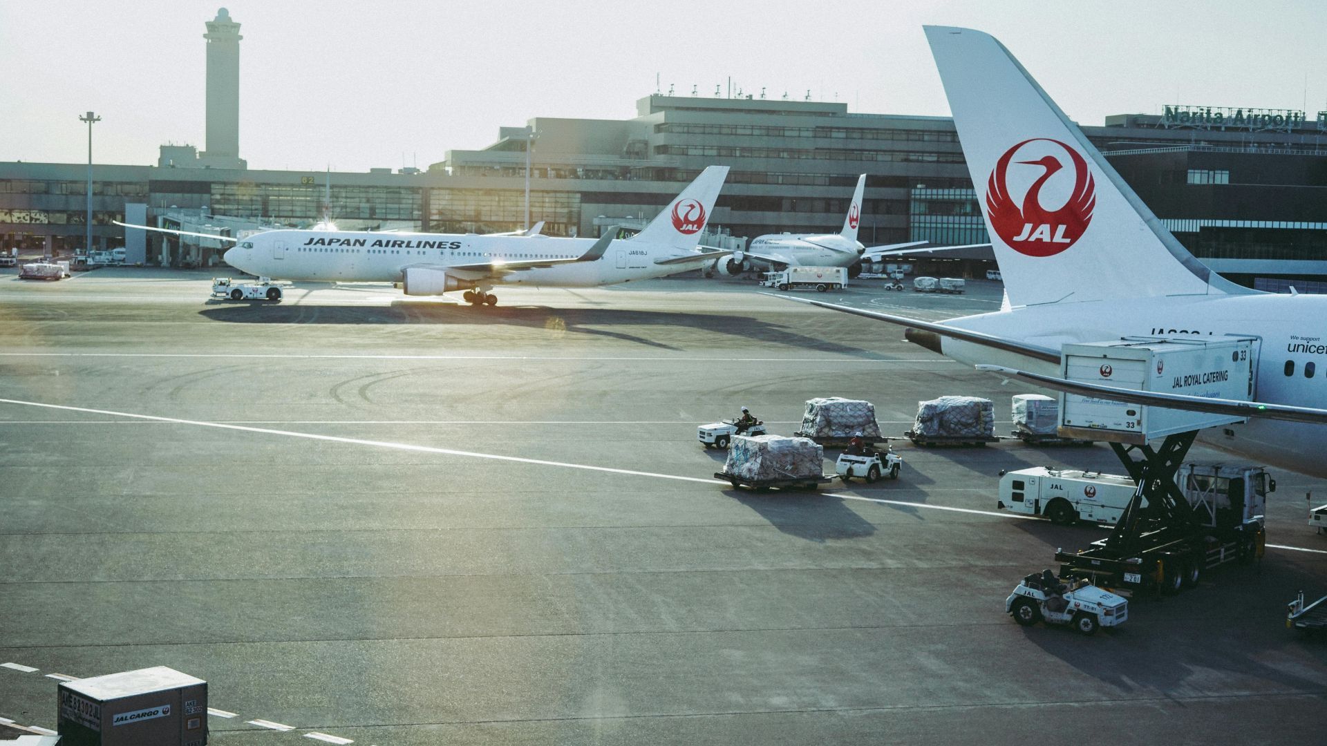 Japan immigration checks