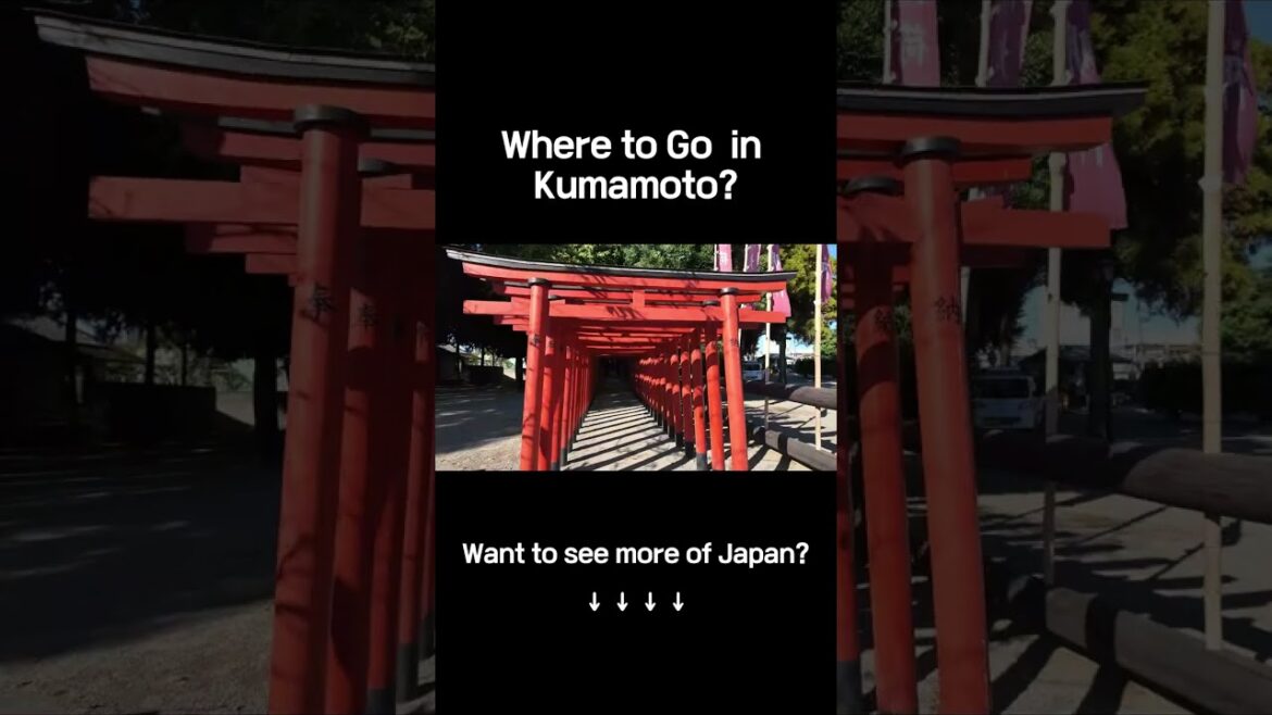 Suizenji Jojuen A must visit in Kumamoto! Beautiful & serene! #Kumamoto #SuizenjiJojuen #JapanTravel