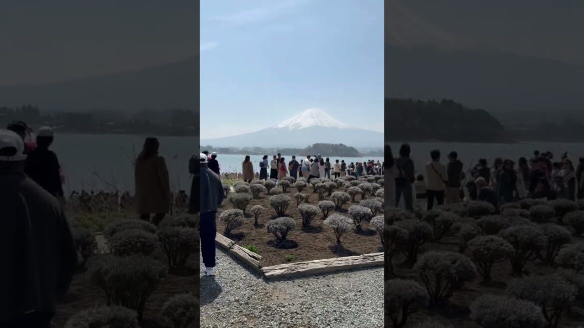 Mt Fuji, Japan