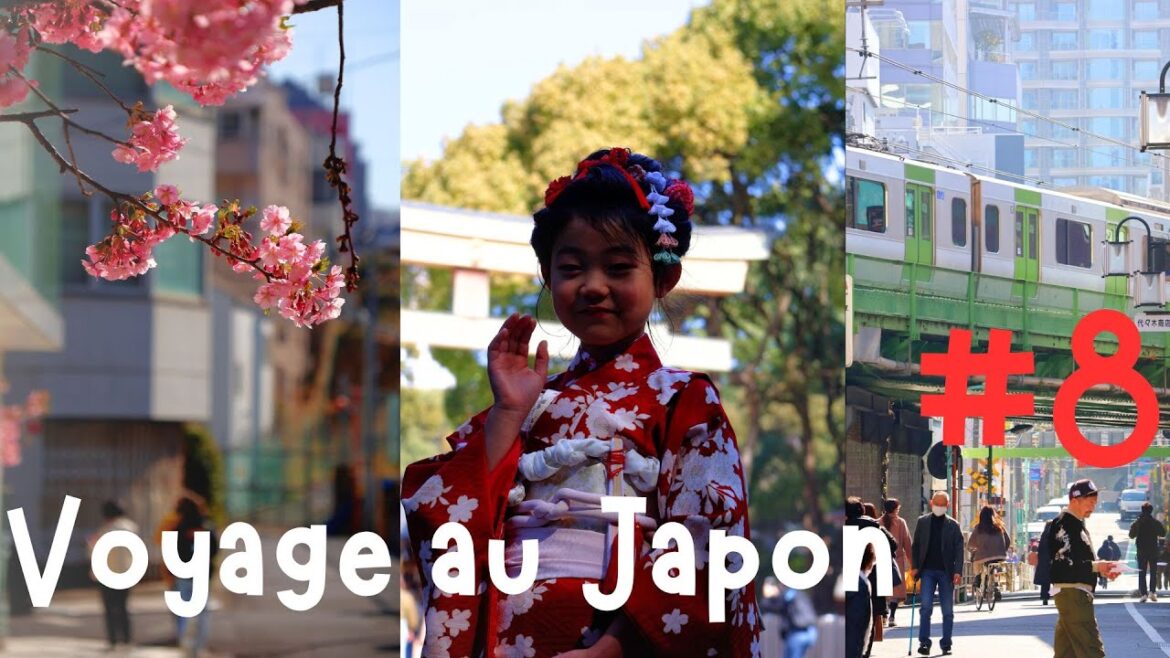 VOYAGE AU JAPON – VLOG #8 : Visite de Meiji-jingu à Tokyo et départ pour Hamamatsu 🚄 VOYAGE AU JAPON - VLOG #8 : Visite de Meiji-jingu à Tokyo et départ pour Hamamatsu 🚄