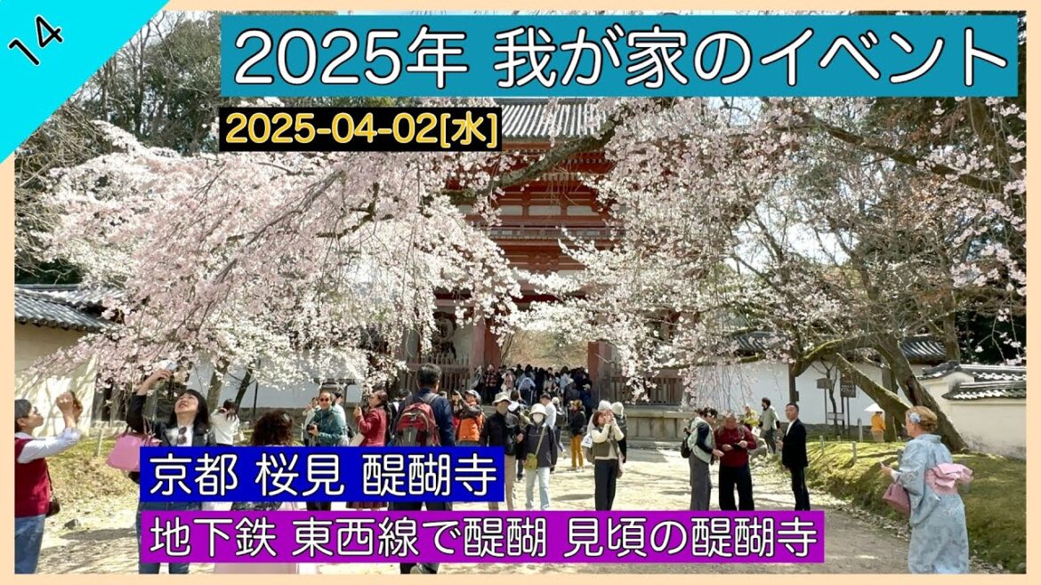 2025-04-02[水] 京都の桜 醍醐寺
