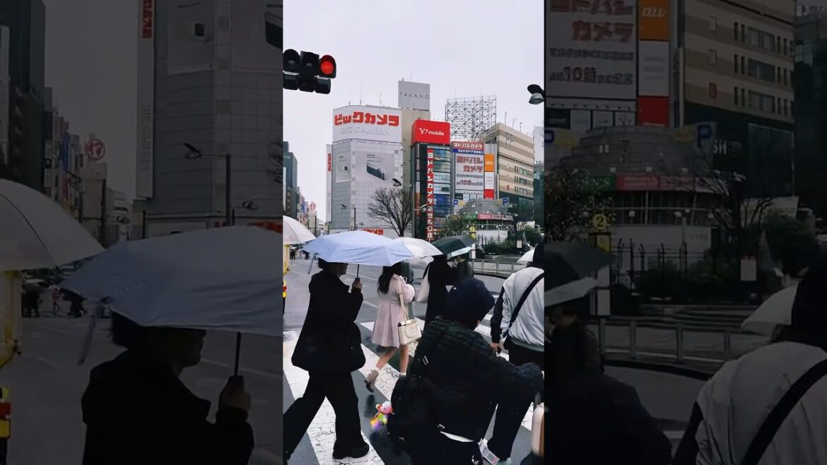 Shinjuku, Tokyo After the Rain – A Beautiful Rainy Day in Japan Shinjuku, Tokyo After the Rain – A Beautiful Rainy Day in Japan