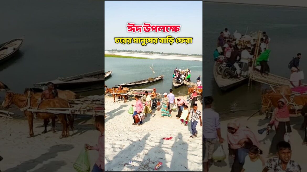 স্বপ্ন বাড়ি যাবে আমার। ঈদ উপলক্ষে চরের মানুষের বাড়ি ফেরা।  #shorts #youtubeshorts #eid