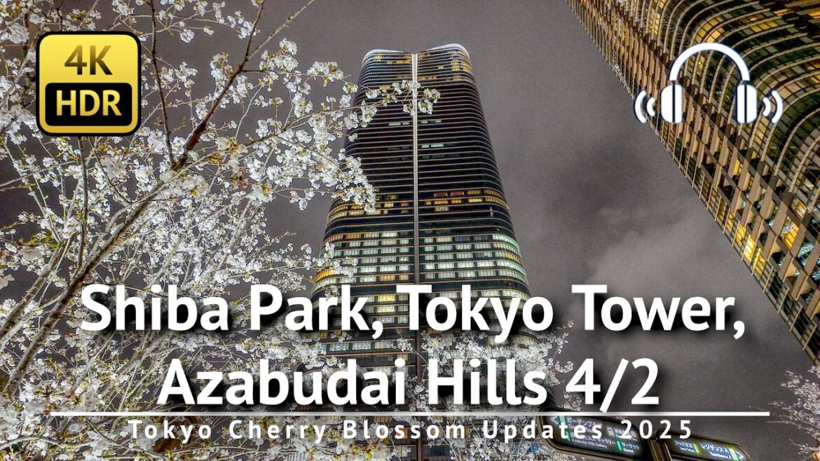 4/2 🌸 Tokyo Cherry Blossom Updates: Shiba Park, Tokyo Tower & Azabudai Hills [4K/HDR/Binaural]