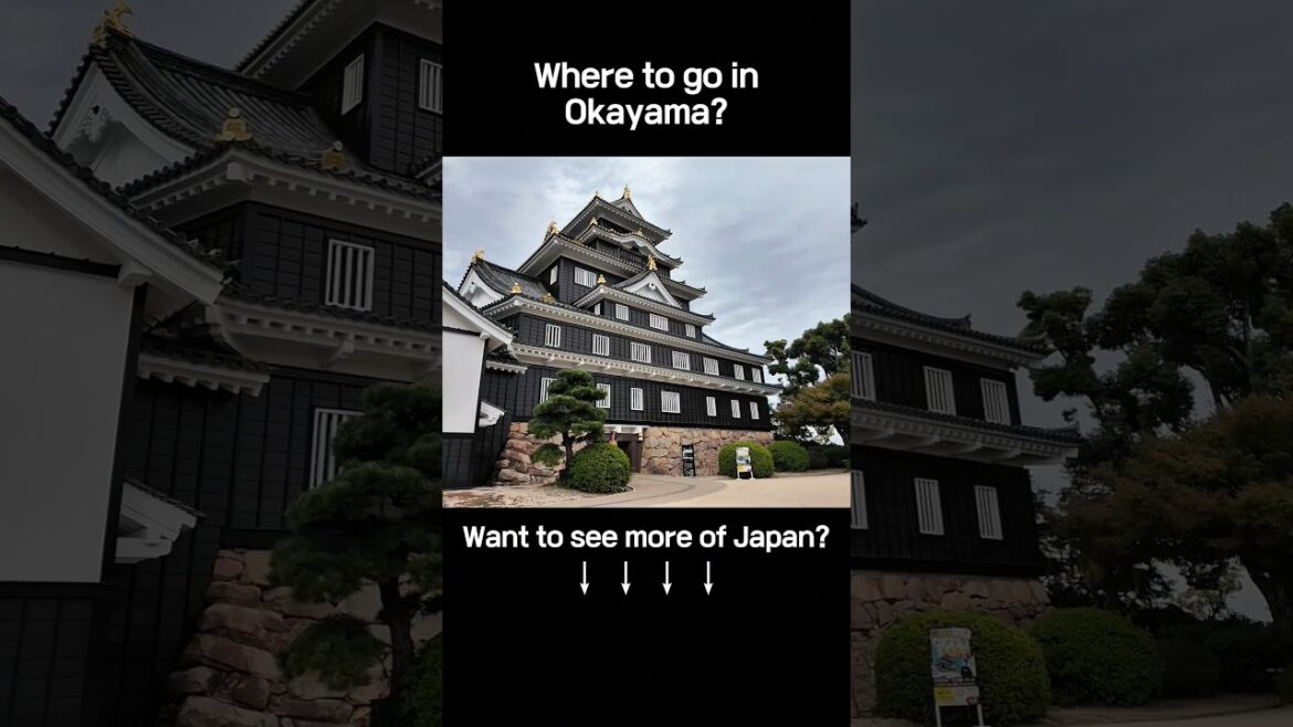 The Beauty of Okayama Castle. A Must-Visit Spot! #OkayamaCastle #JapanVibes #japantravel #travelvlog