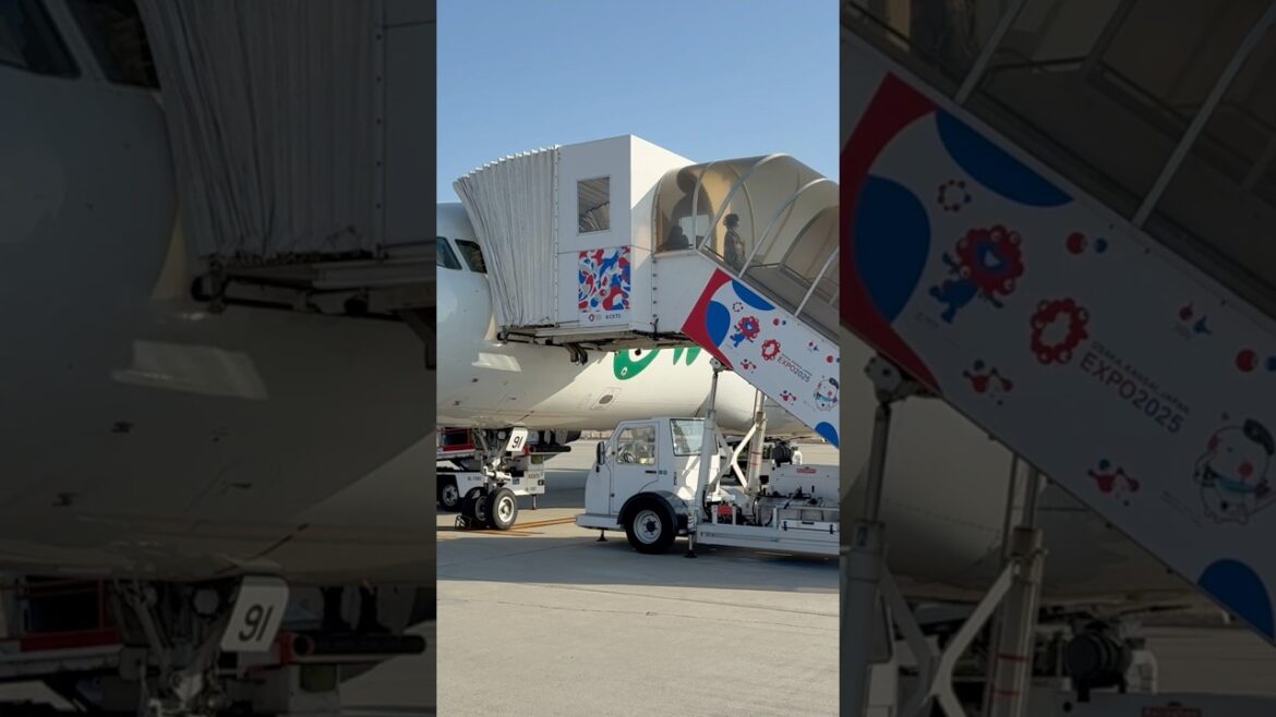 Kansai International Airport's boarding bridges Expo 2025 Osaka specifications #shorts #travel #大阪