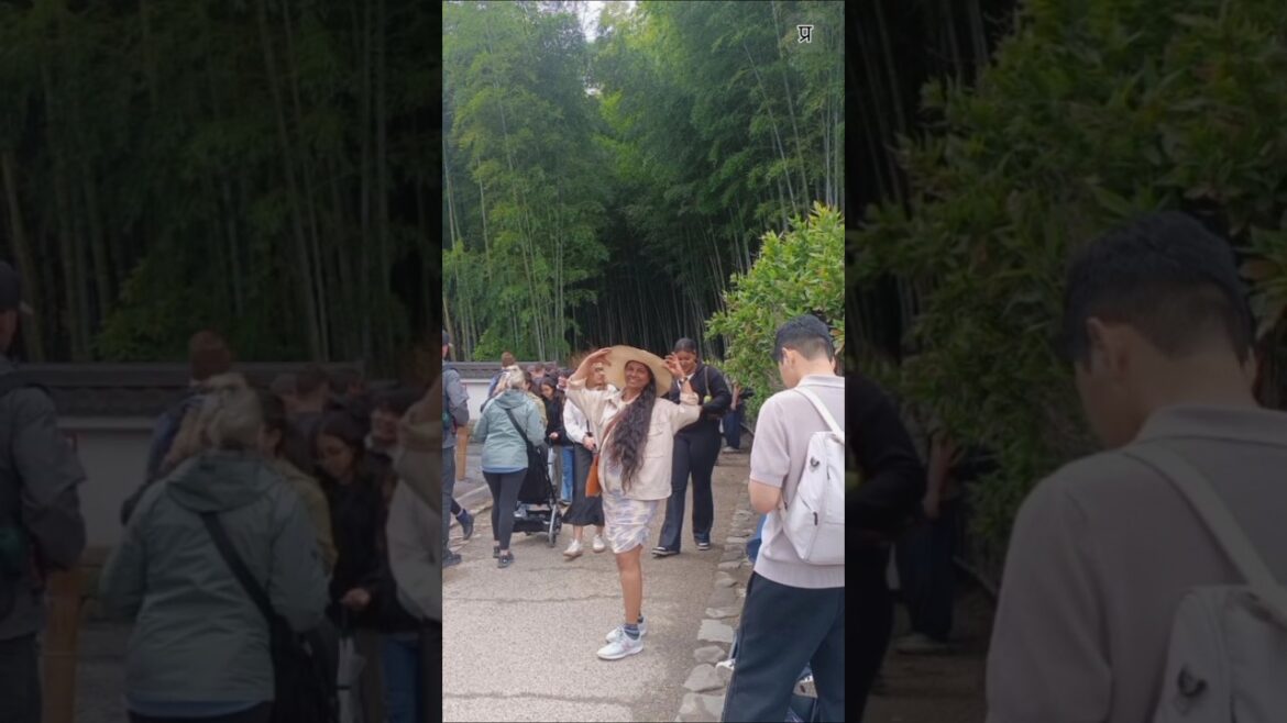 Arashiyama Bamboo Grove Kyoto Japan अराशीयामा बांबू ग्रुह बांबूच्या वनात #travel #Japan #budha #love
