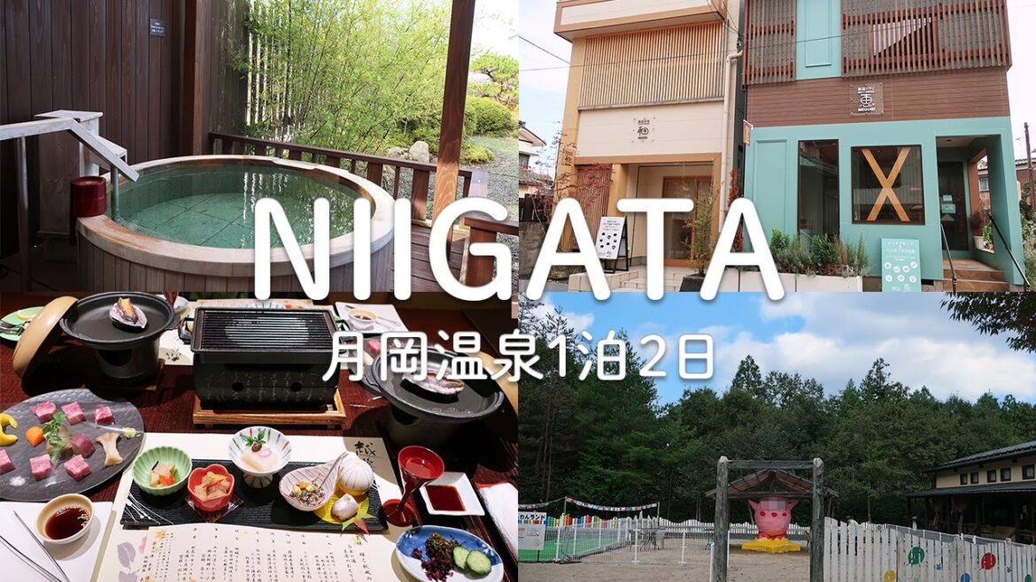 新潟月岡温泉１泊２日☆温泉旅館満喫の旅☆