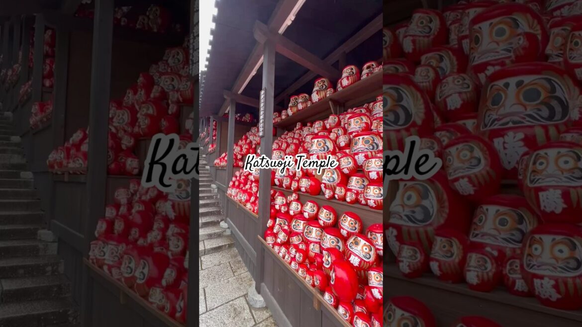 Hidden Gem in Osaka: Katsuoji Temple 🏯✨ | Travel Guide 🚆🌸 #KatsuojiTemple #OsakaJapan #Travel