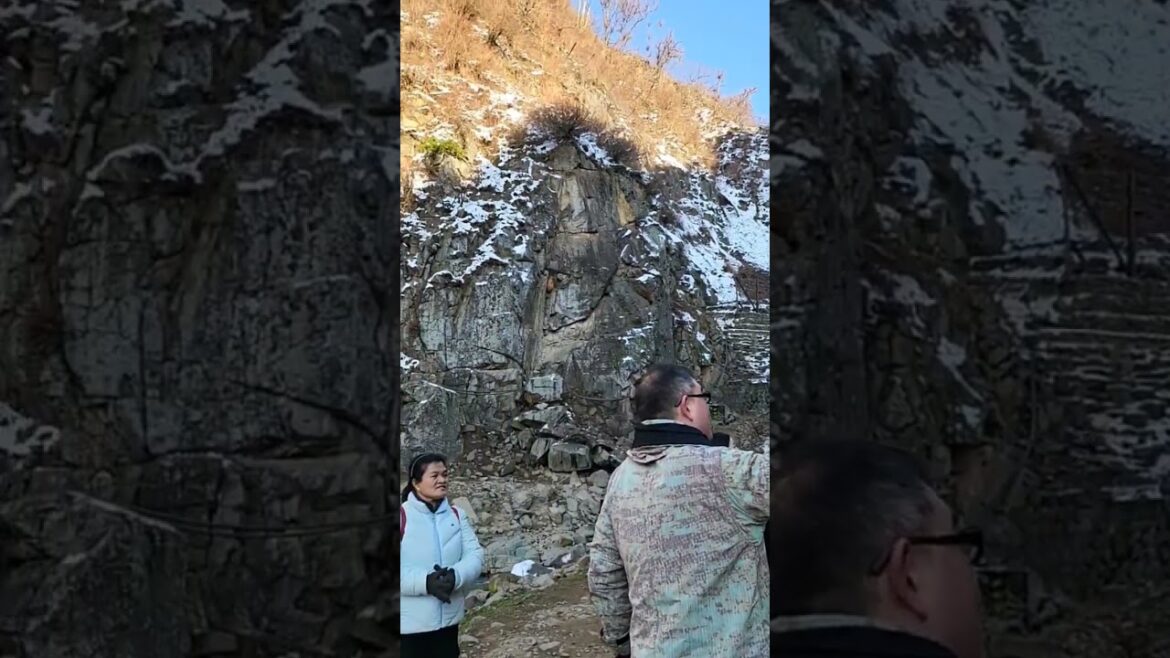 Nagano Jigokudani Snow Monkey Park #japantouristguide #japantravelguide #snowmonkey #Naganoken