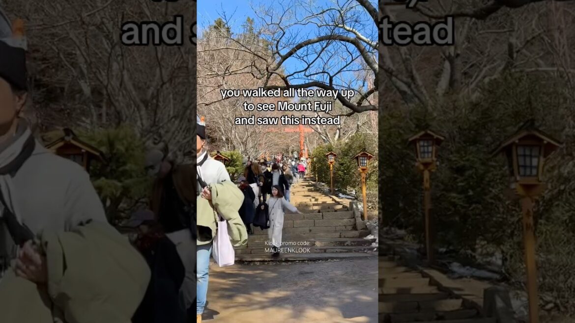 Mount Fuji view from Churieto Pagoda - expectation vs reality 😅 #japan #travel #funny #mountfuji