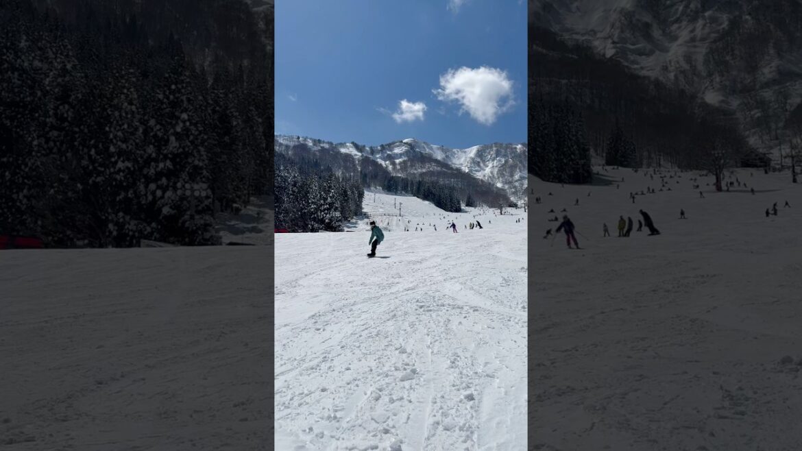 Come snowboard with me for the first time in Niigata, Japan #snowbording #japan