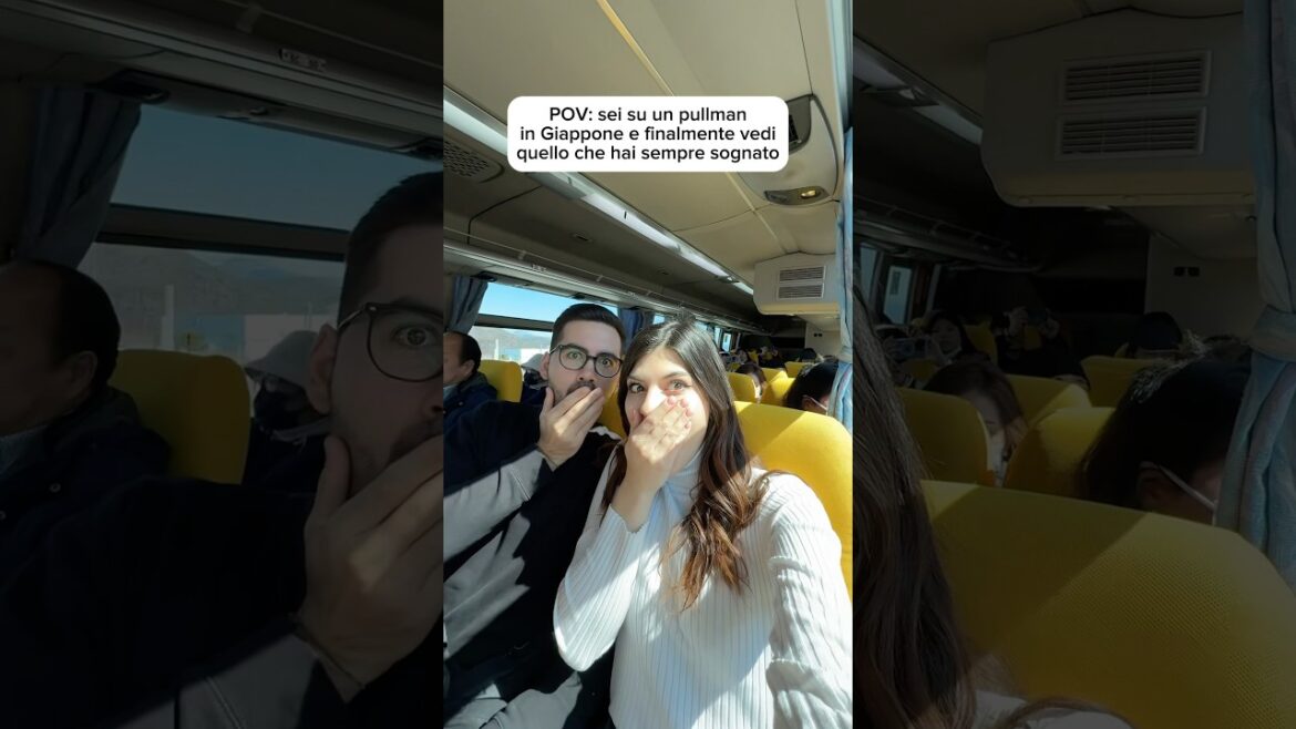 Monte Fuji🗻🇯🇵 #giappone #japan #viaggiare #mtfuji #tokyo #consiglidiviaggio #traveltips #pov