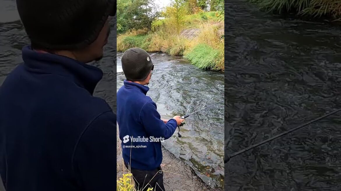 Kamifurano 2 - 上富良野 2 #journey #trip #travel #hokkaido #holiday #hokkaidojapan #Kamifurano #camping