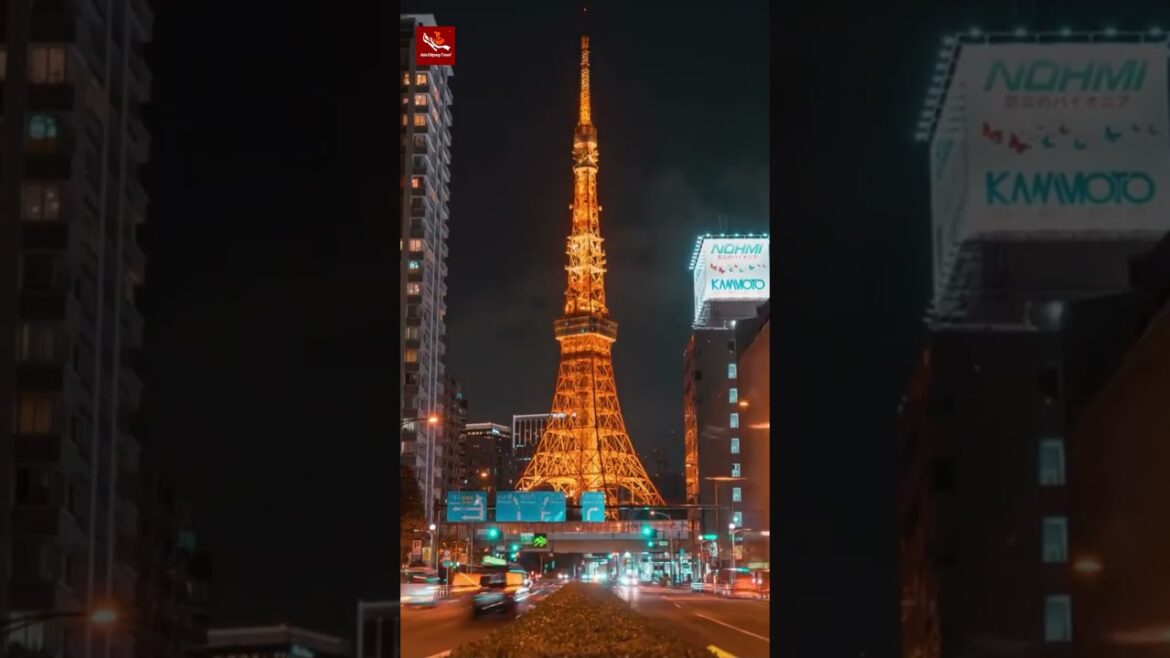 Affordable Japan Tours by Asia Odyssey Travel | Explore Japan’s Best with Local Experts Affordable Japan Tours by Asia Odyssey Travel | Explore Japan's Best with Local Experts