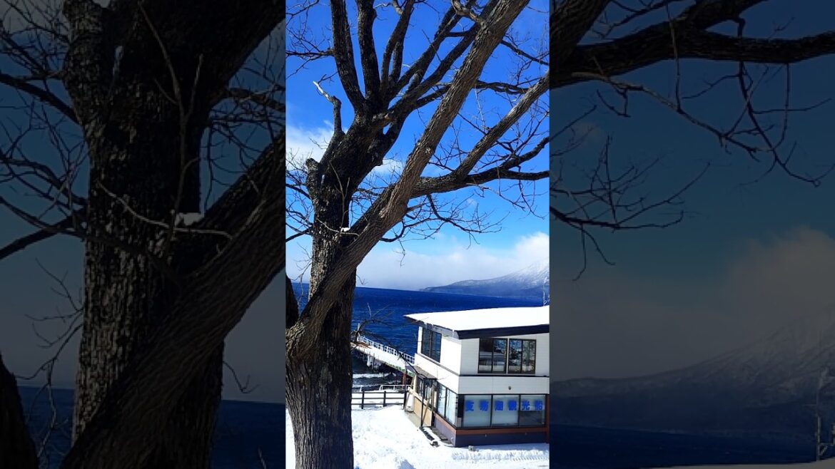 Lake Shikotsu ❤️❄️              #shorts #youtubechannel  #foryou #travel  #chitose #hokkaido #japan