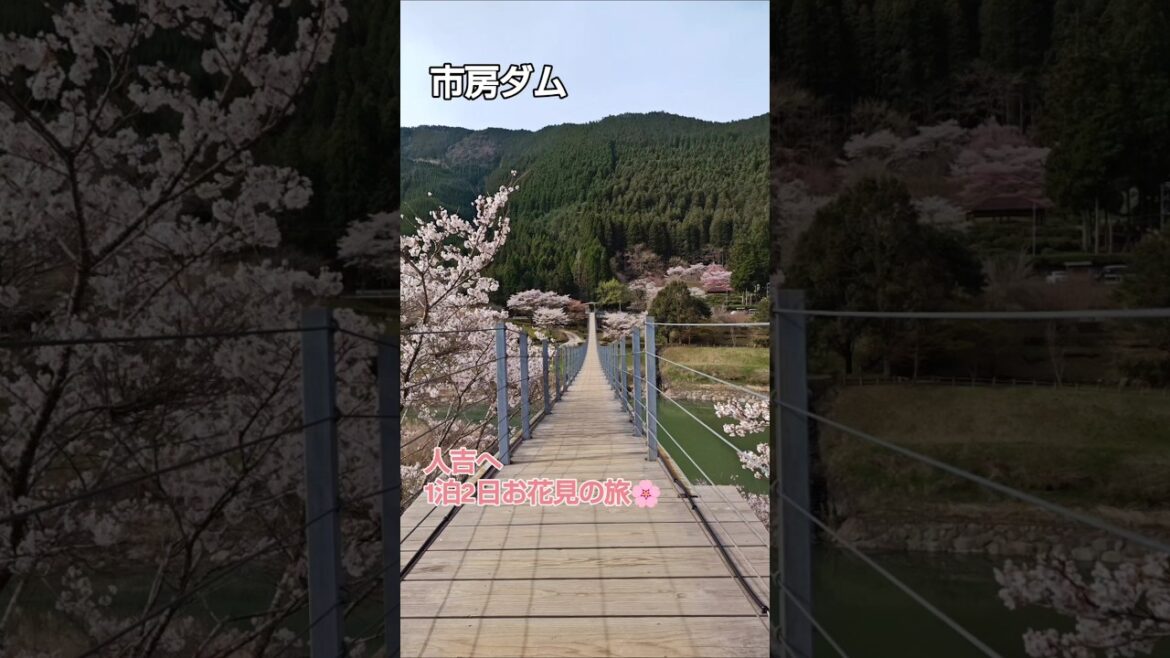 ★人吉へ1泊2日お花見の旅🌸