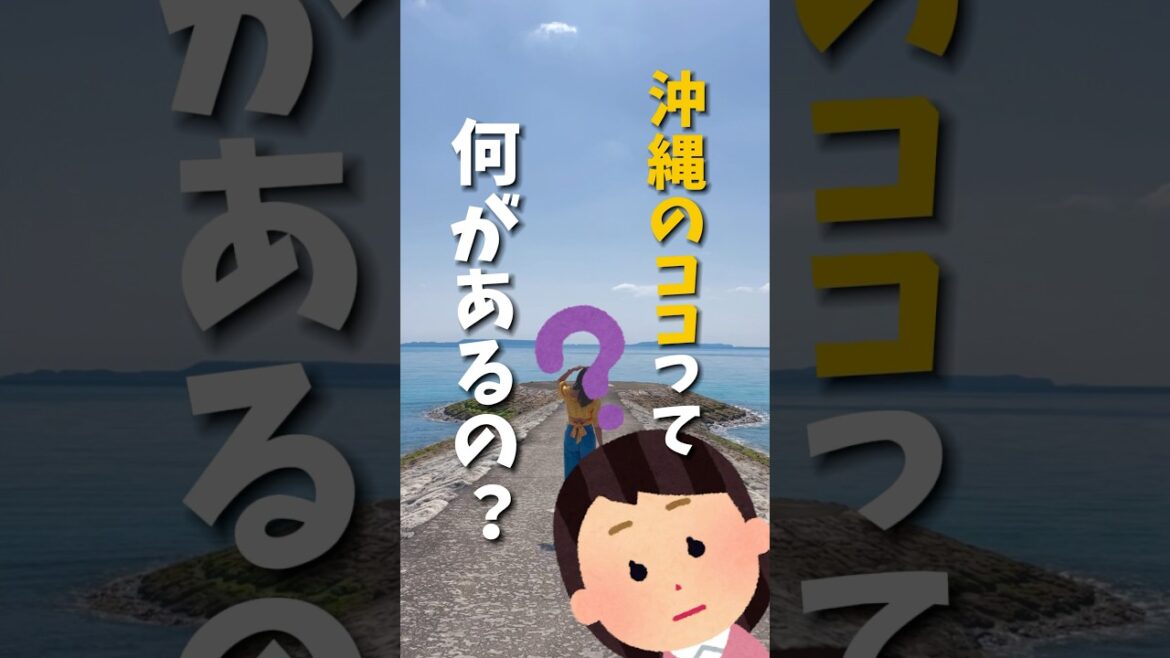 【超穴場】沖縄旅行でほとんどの方が行かないあの地域が実は超楽しめる事が分かる動画！《沖縄旅行・観光・旅行・Okinawa》#沖縄#沖縄旅行#旅行#旅#世界遺産 #okinawa#trip#travel