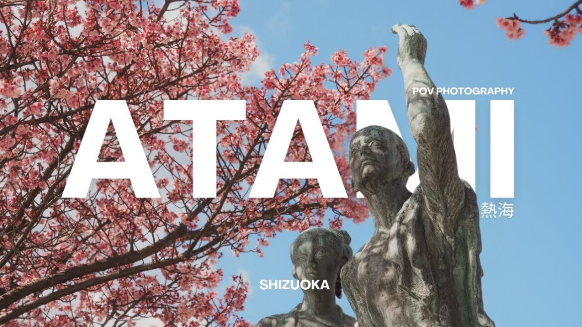 My First Sakura of 2025 in Atami