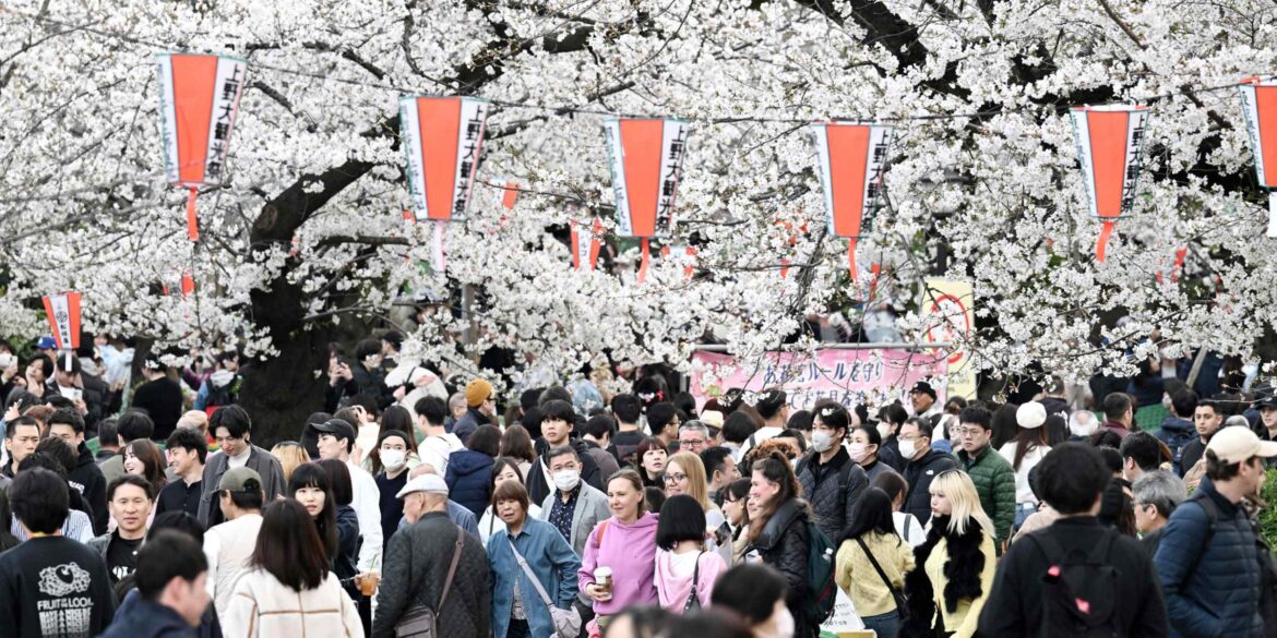 Letter from Nikkei Asia’s editor: Tokyo in bloom, tech scoops, tariffs, and newsroom changes Letter from Nikkei Asia's editor: Tokyo in bloom, tech scoops, tariffs, and newsroom changes