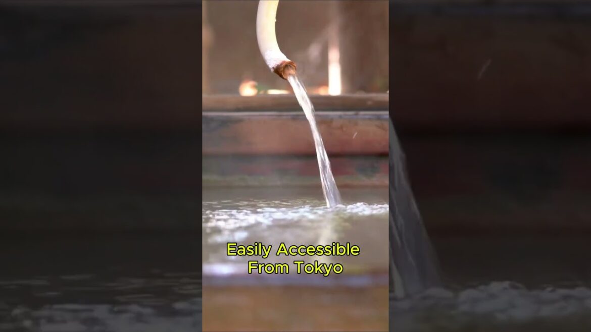 Hakone’s Hot Springs & Mt Fuji Views! Hakone’s Hot Springs & Mt Fuji Views!