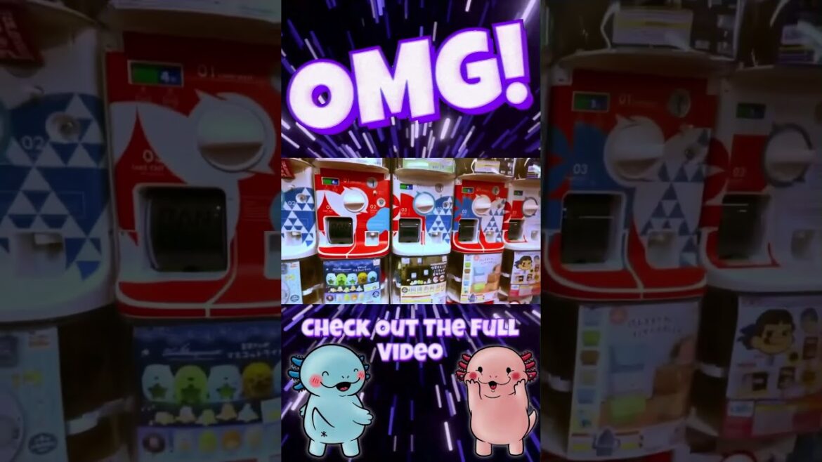 Japanese Gachapon Store In Kyoto! #gacha #japan #travel #gachapon #japanese