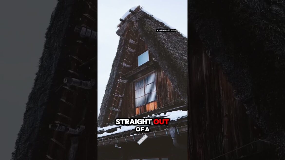 Don’t Visit Japan Until You Know These 3 Secret Places! 🇯🇵✨