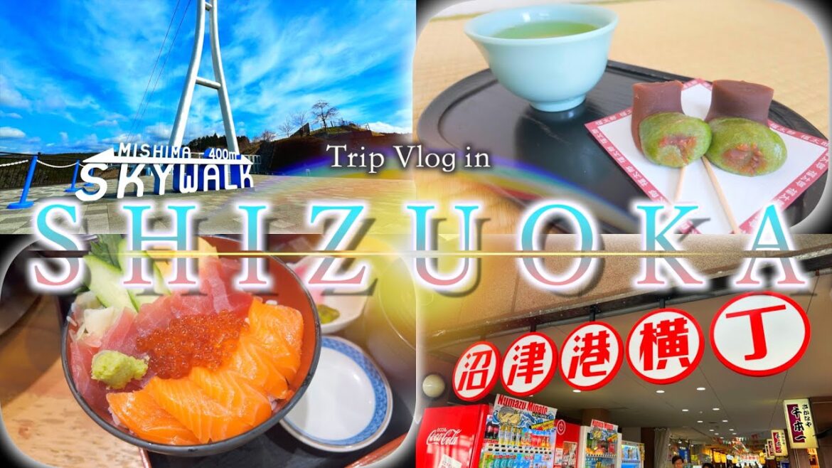 【Trip vlog】日本一の大吊橋!!絶品濃厚ソフトクリーム🍦静岡県1泊2日の旅🗻Day1