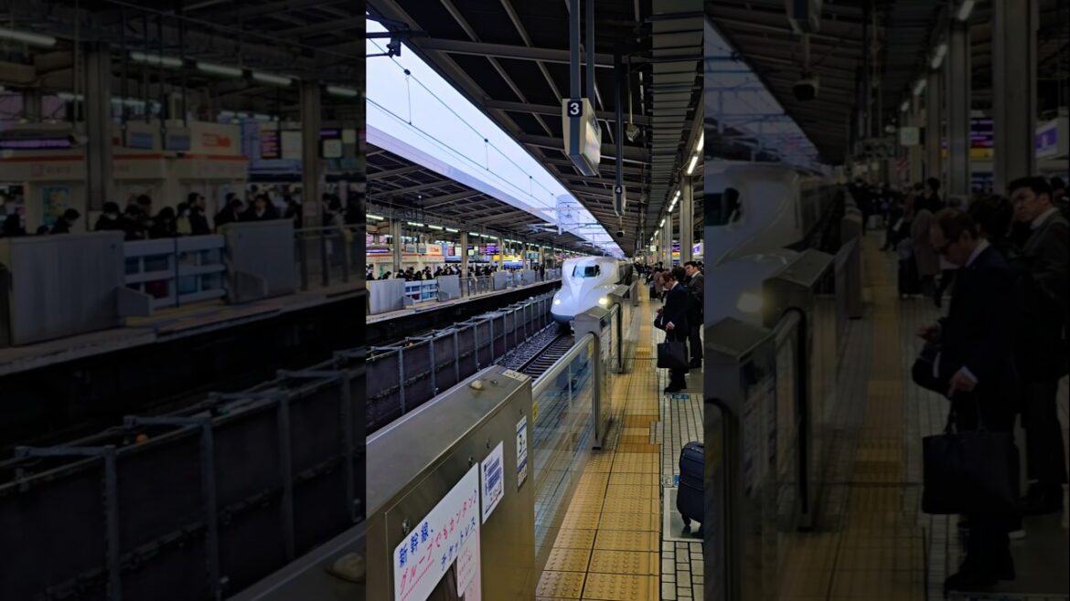 【Japan Trip】 MUST ride Shinkansen!! #japan #japanese #shinkansen