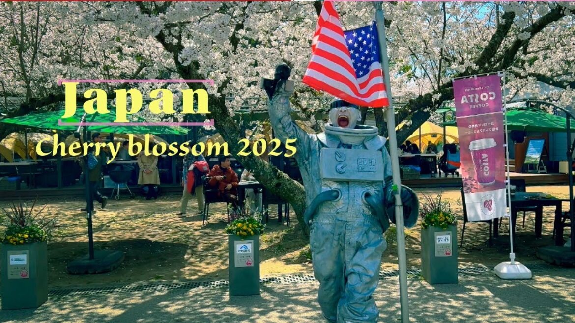 Experience the Magic: Fukuoka Castle Sakura Festival 2025 in Maizuru Park!Japan Experience the Magic: Fukuoka Castle Sakura Festival 2025 in Maizuru Park!Japan