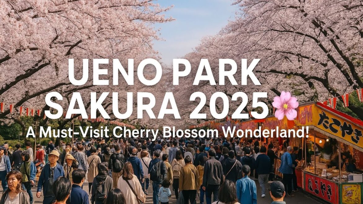"🌸✨ Sakura 2025: Why Ueno Park is Tokyo's Ultimate Cherry Blossom Spot! 🌸🇯🇵🌸"