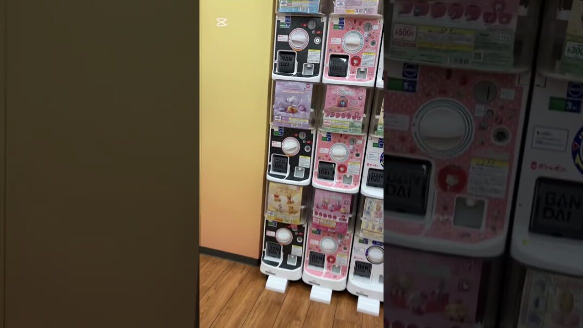 #日本 ガチャガチャ天国 Kids Dreams #japan #travel