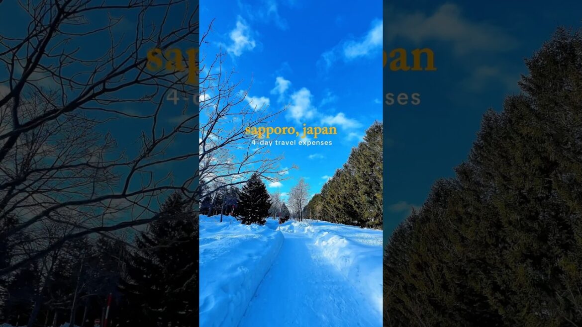 Sapporo, Japan Travel Expenses ❄️ Discount Code: KLOOKRUTH 5% off on Klook bookings 👌