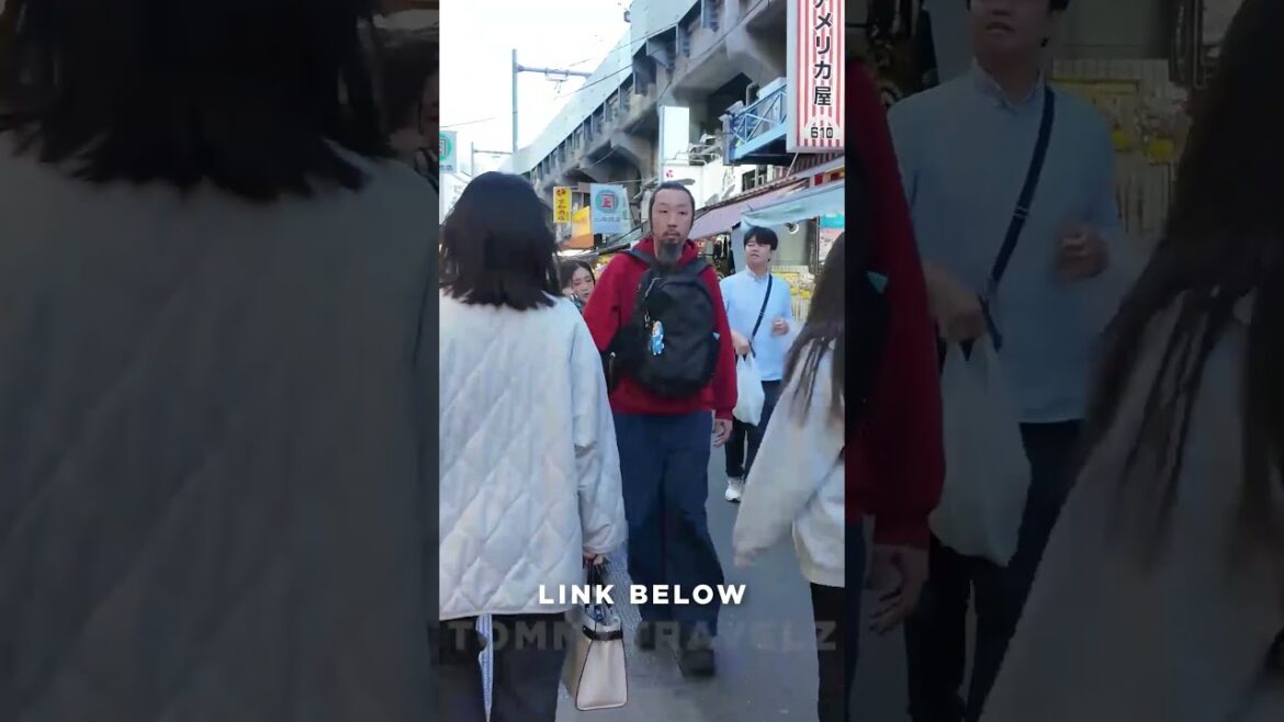 #tokyo #osaka #ohtani #kyoto #shibuya #ginza #onsen #shinjuku #soba #ramen #tokyotravel #japan