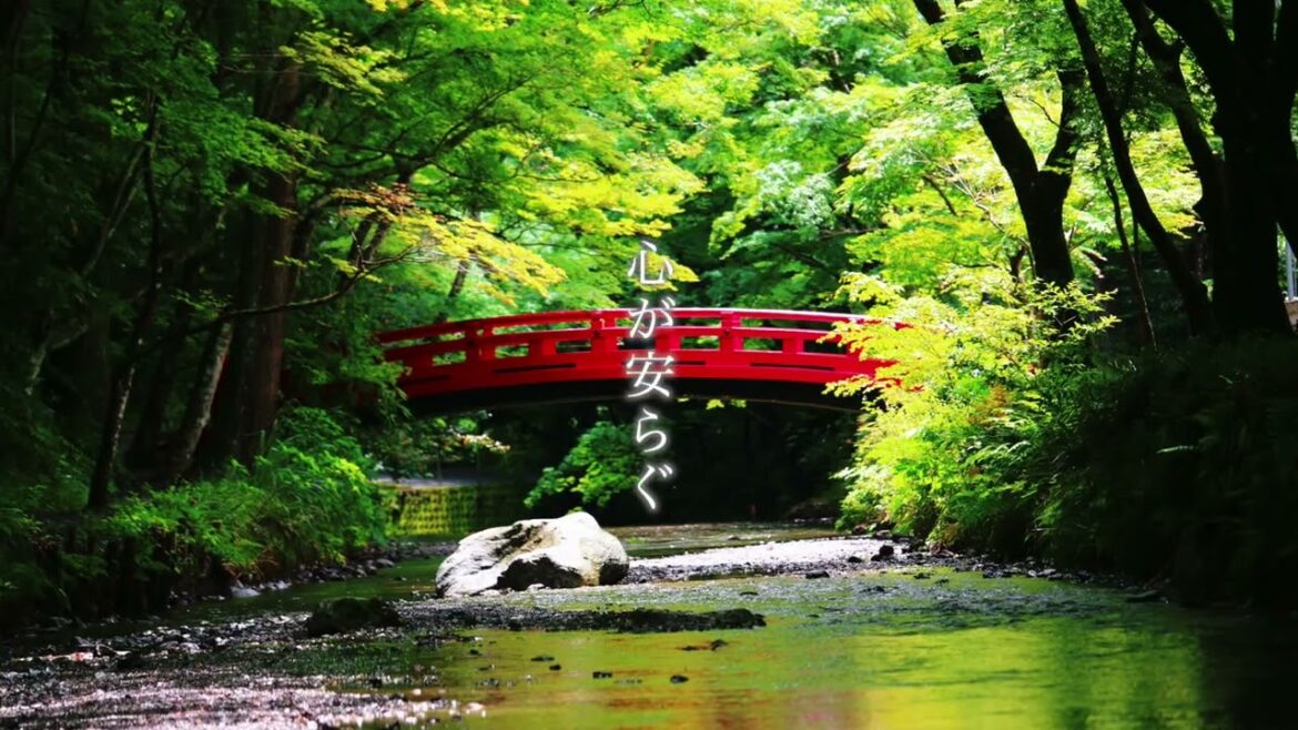浜名湖からはじまる 感動四季めぐり ―アメイジングガーデン・浜名湖― Amazing Garden Lake Hamana［JAPAN GARDEN TOURISM］