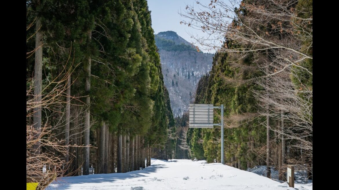 【Sony FE85mm F1.4 GM II】Cinematic Nature Snaps in Japan's Snowy Village (Okayama, NIshiawakura).
