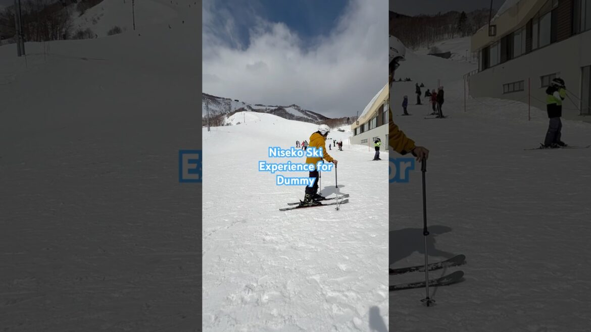 Ski Experience for Dummy #skiing #niseko #hokkaido #japan #snow #winter #travel #shorts #shortsfeed