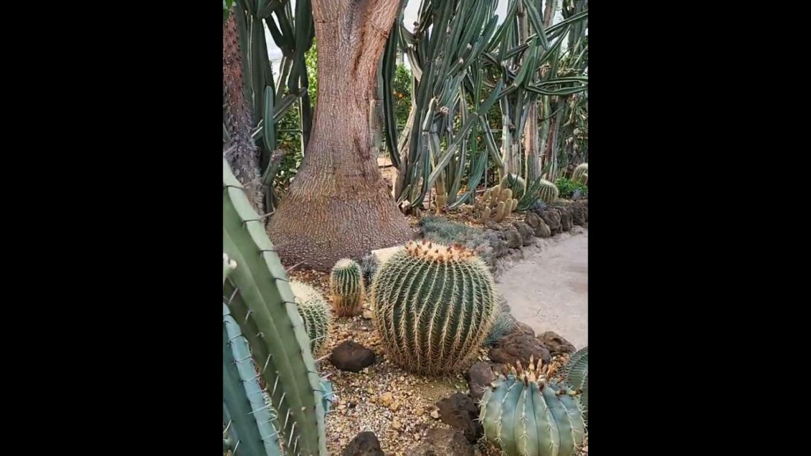 Nagano Prefecture Nagano Japan