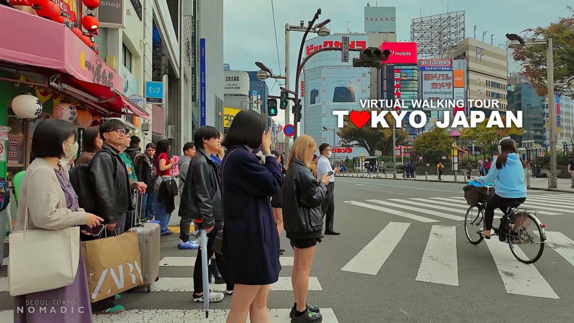 TOKYO CITY TRAVEL 21 – WALKING TOUR Shinjuku, Kabukicho, Yoyogi, Asakusa, Nakamise Street & Sensoji TOKYO CITY TRAVEL 21 - WALKING TOUR Shinjuku, Kabukicho, Yoyogi, Asakusa, Nakamise Street & Sensoji