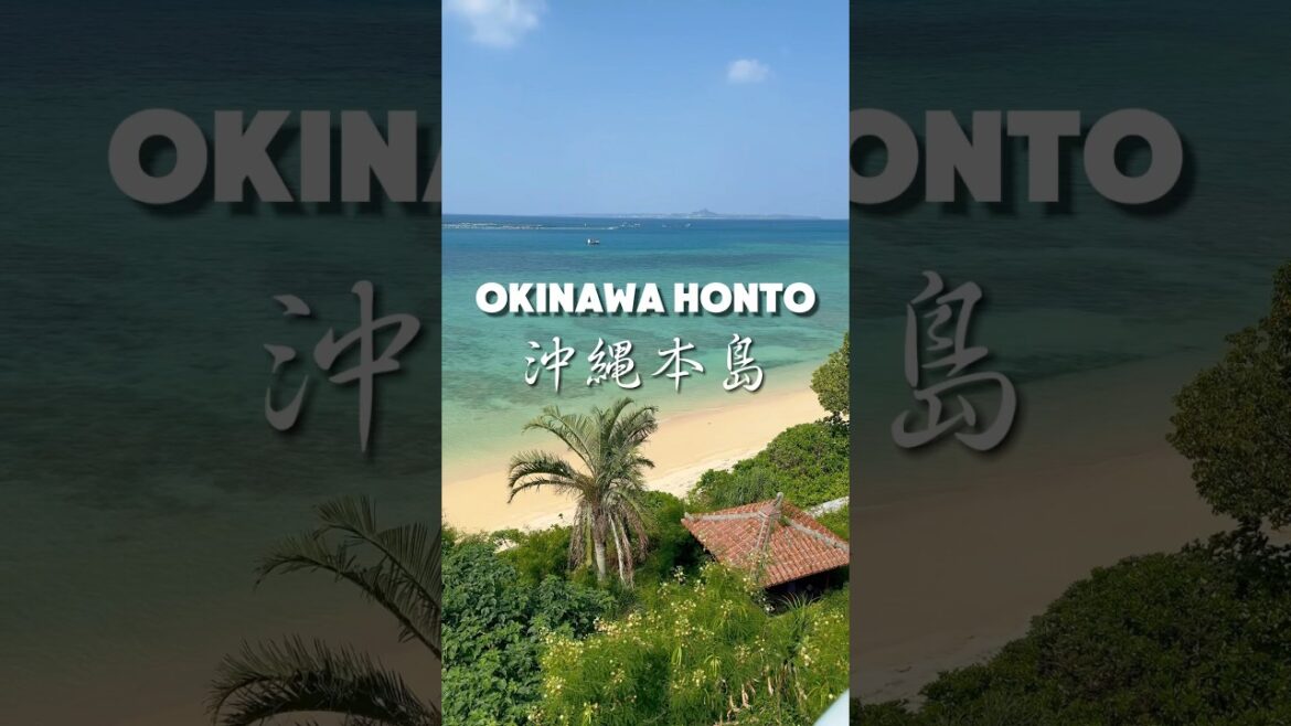 Okinawa Honto 🏝️ #okinawa #japan #japanreise #ocean #beach