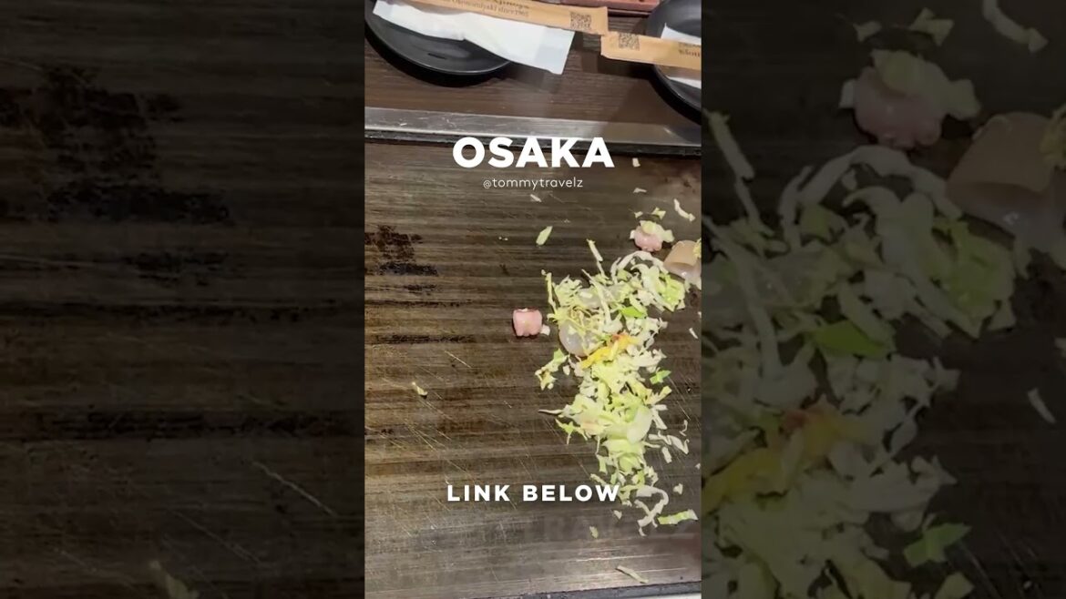 #tokyo #osaka #ohtani #kyoto #shibuya #ginza #onsen #shinjuku #soba #ramen #tokyotravel #japan