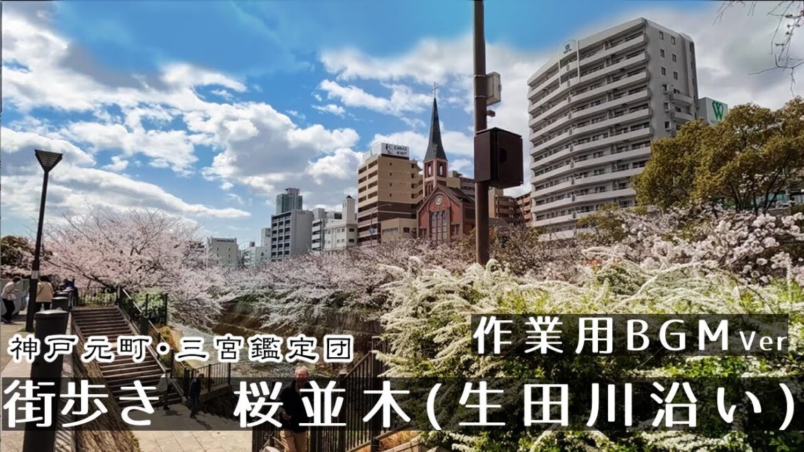 【BGMver】桜並木(生田川)神戸三宮２K　GoProHero11　Walk in SakaemachiStreat.　Japan