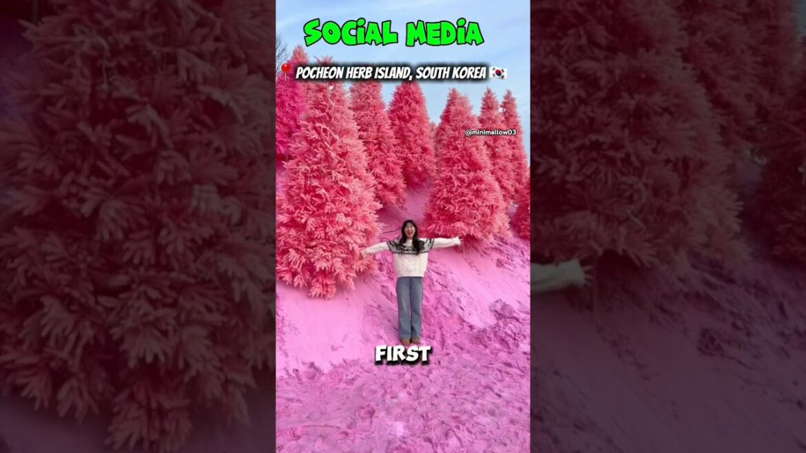 Places that don't ❌️ feel real 💫✈️🌍 #shorts #shortsfeed #minimallow