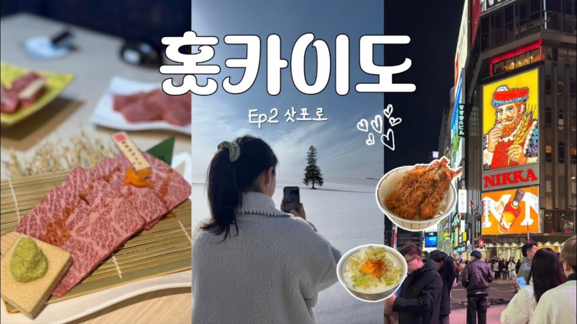 홋카이도 5박6일🇯🇵 Ep.2 삿포로 여행 이대로만 가세요 ✌🏻 숙소 추천 | 비에이 투어 추천 🌲 | 삿포로 맛집 정보 구글맵 공유 홋카이도 5박6일🇯🇵 Ep.2 삿포로 여행 이대로만 가세요 ✌🏻 숙소 추천 | 비에이 투어 추천 🌲 | 삿포로 맛집 정보 구글맵 공유