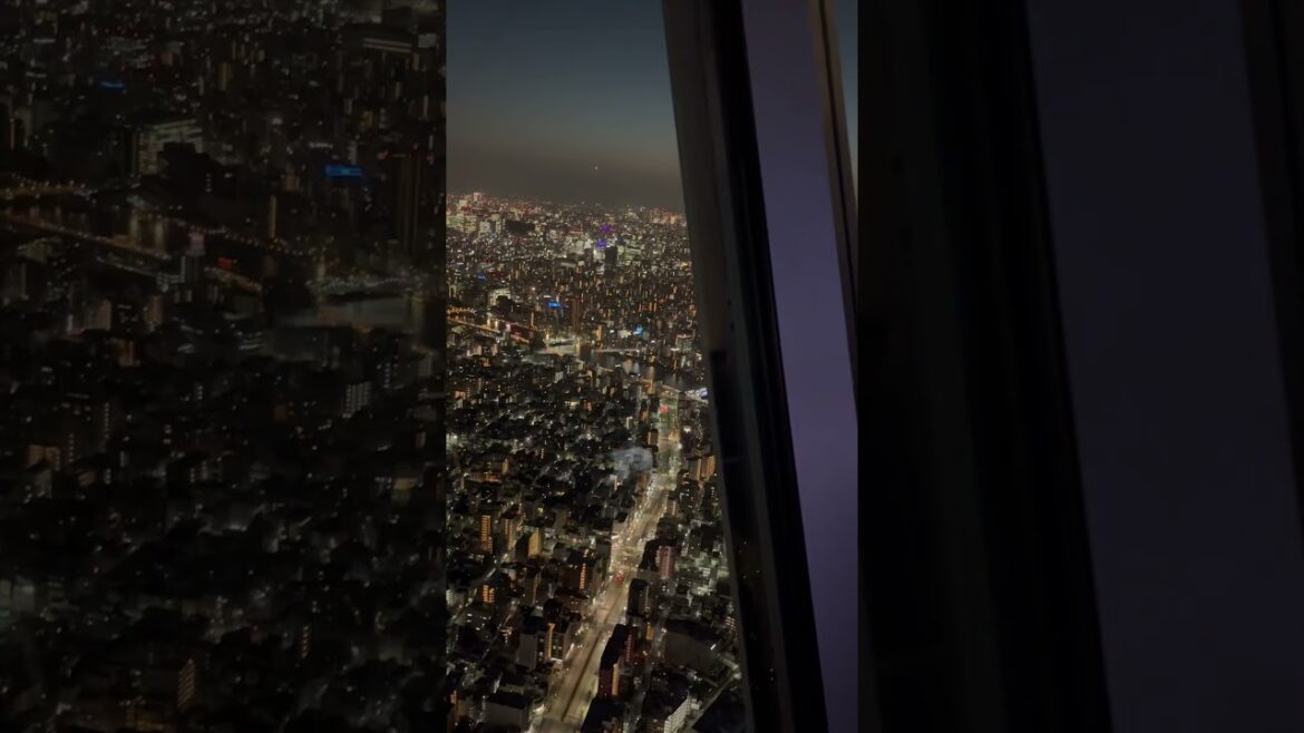 Night view from Tokyo Skytree, the world's tallest radio tower #travel