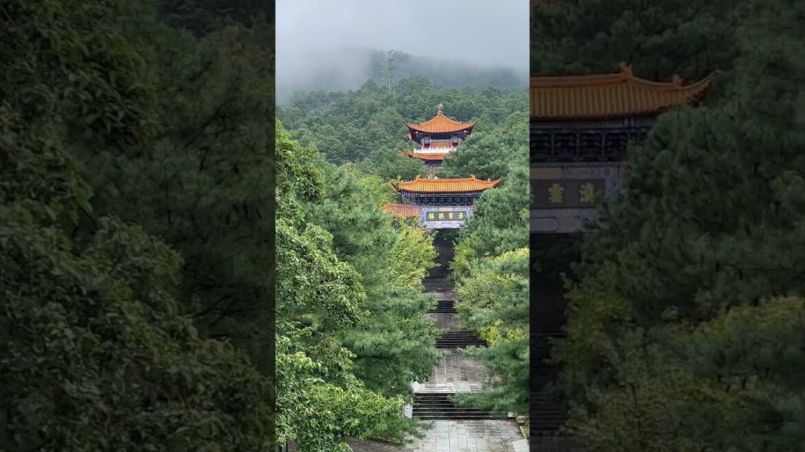 Tourist Spots on Japan 🇯🇵 #travel #vacation #trip #adventure #tour