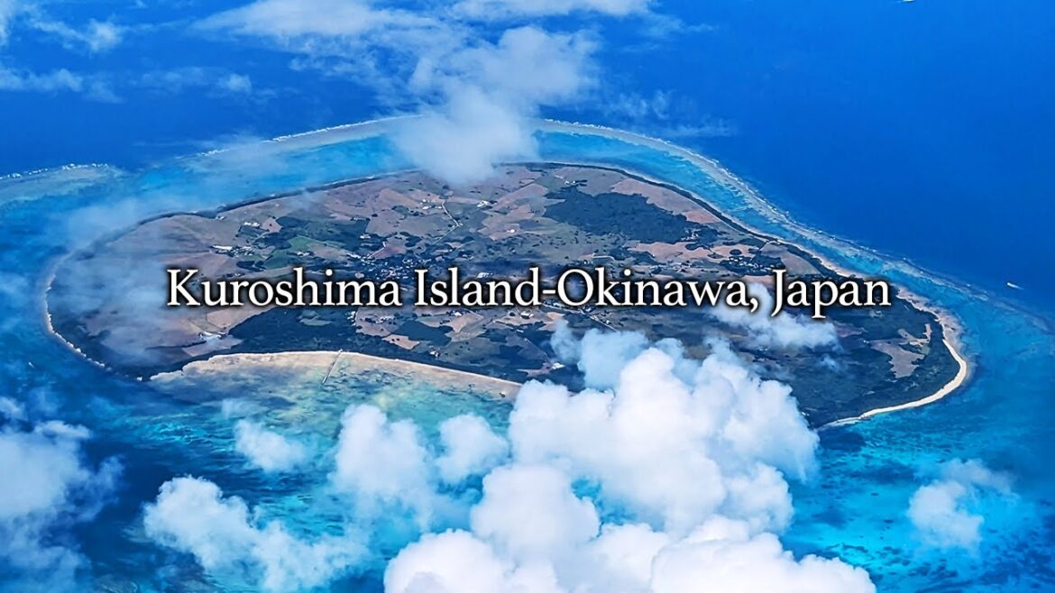 【Solo Trip】Kuroshima Island - One-Day Trip Model Course [Okinawa, Japan]