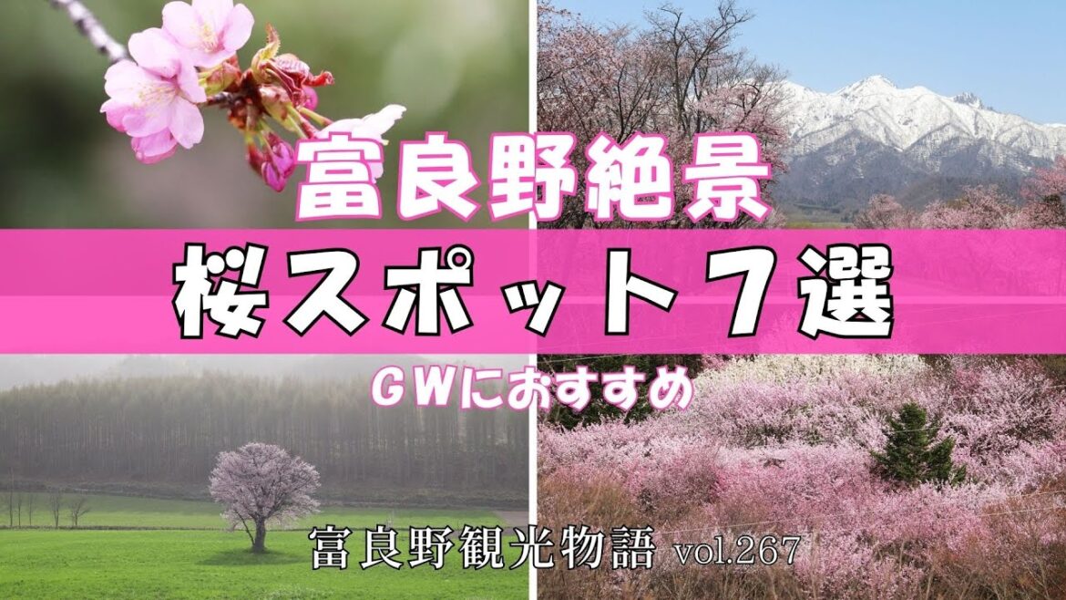 【富良野観光物語】vol.267 ☆ 富良野絶景 桜スポット ７選 ☆春のおすすめスポット #富良野 #北海道 #おすすめ#ドライブ