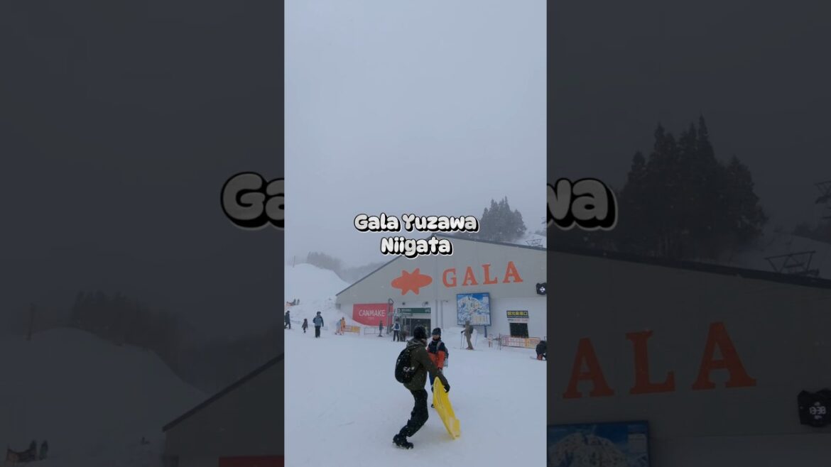 Sejuk Di Gala Yuzawa! #travel #japan #jepun #galayuzawa #niigata